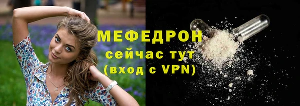 индика Березники