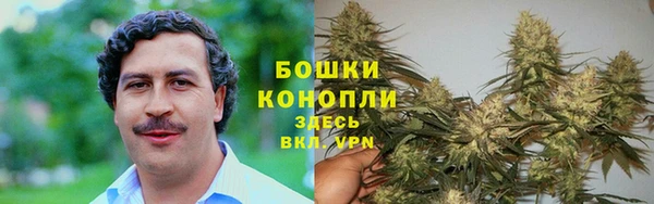 индика Березники