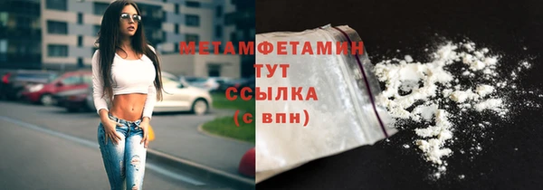 индика Березники
