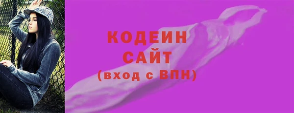индика Березники