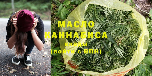 индика Березники