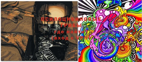 индика Березники