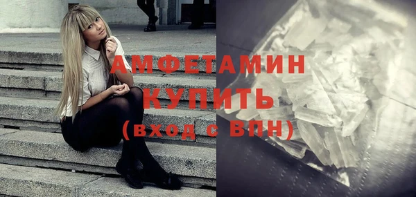 индика Березники