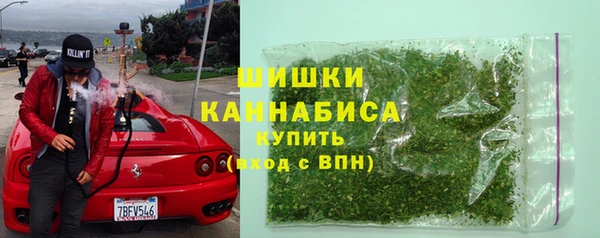 индика Березники