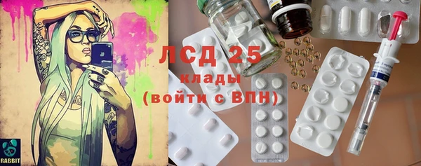 индика Березники