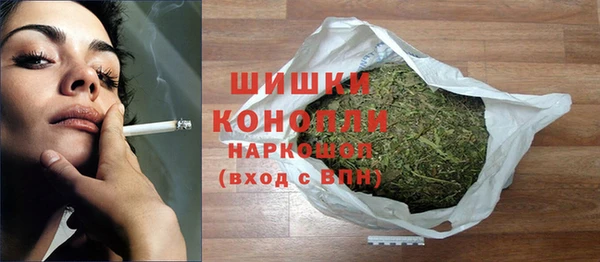 индика Березники