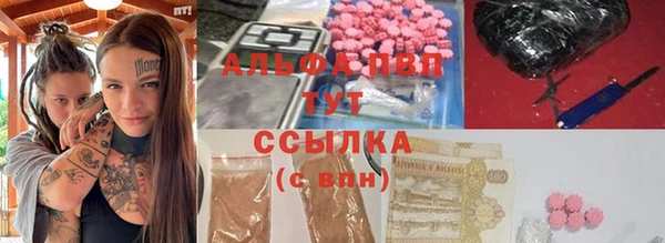 индика Березники